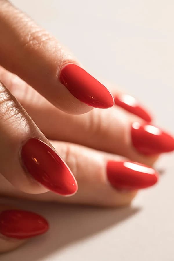 {serviceData.title}Galerija 2